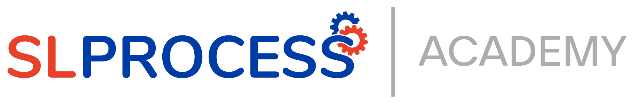 SLProcess Academy